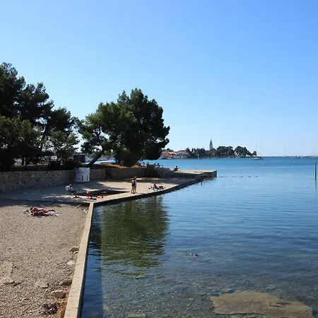 Zeljko Nr1 From The 800 M * Novigrad Istria