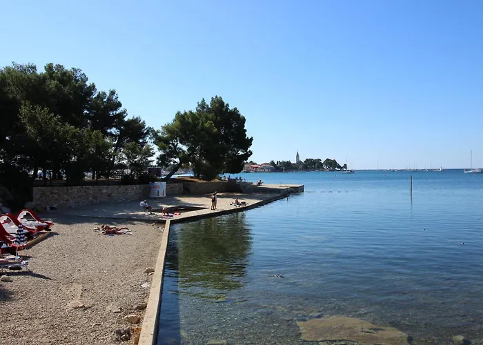 Zeljko Nr1 From The 800 M * Novigrad Istria