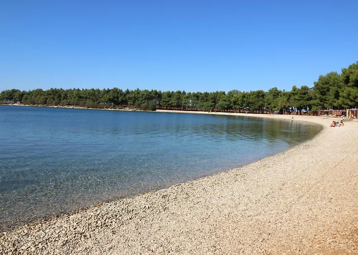 Zeljko Nr1 From The 800 M * Novigrad Istria