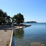 Zeljko Nr1 From The 800 M * Novigrad Istria