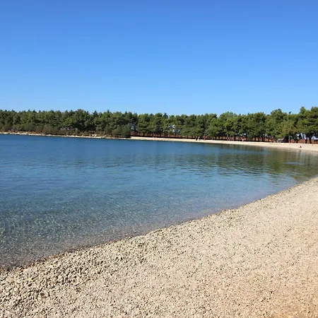 Zeljko Nr1 From The 800 M * Novigrad Istria